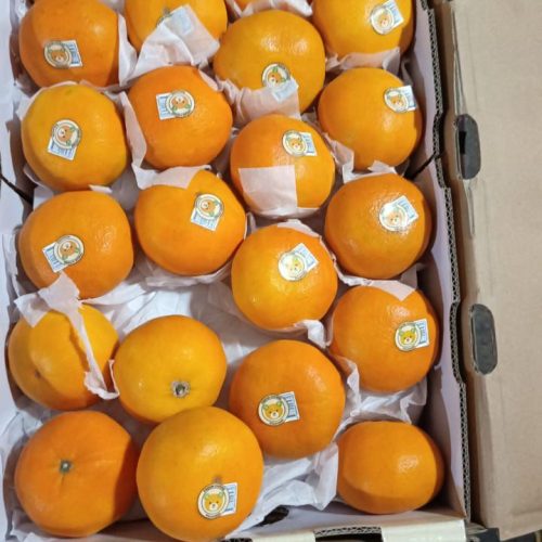 WhatsApp Image 2025-06-23 at 11.52.13 (2)