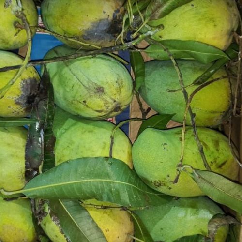 food provisions for cruise ships