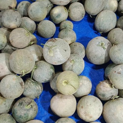 makanan segar untuk awak kapal