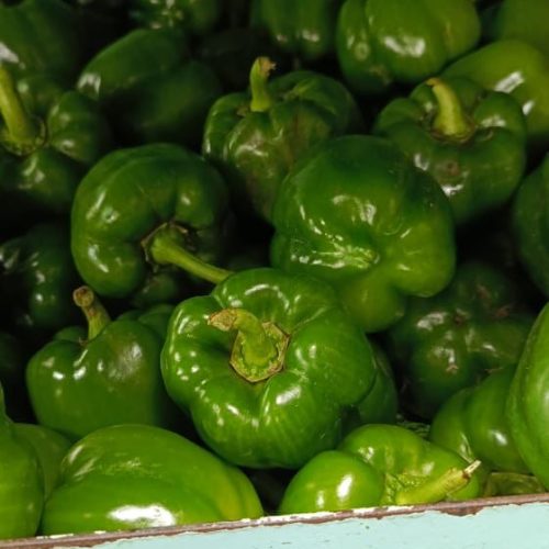 marine food provisioning