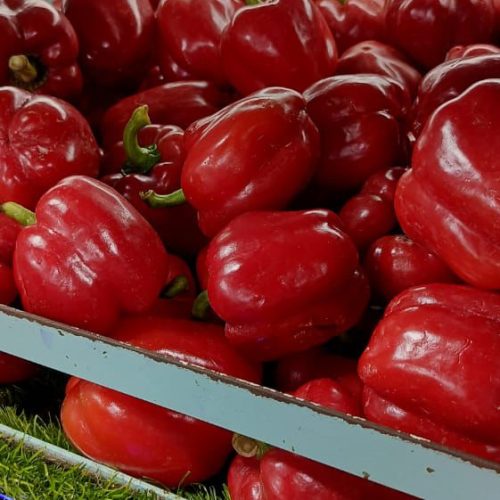 ship provisions food